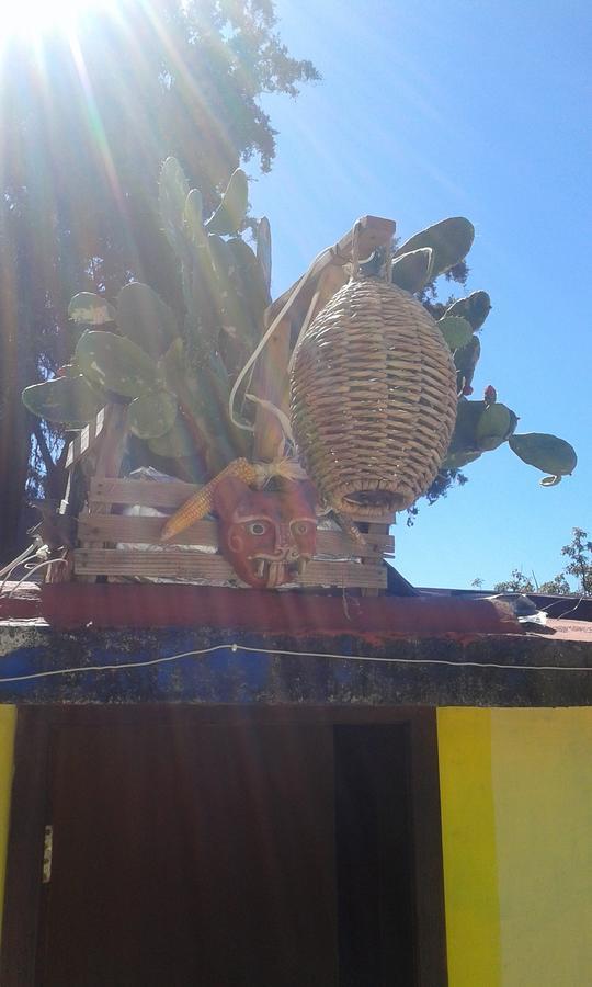 Hostal Nahui Ollin San Cristobal de las Casas Exterior photo