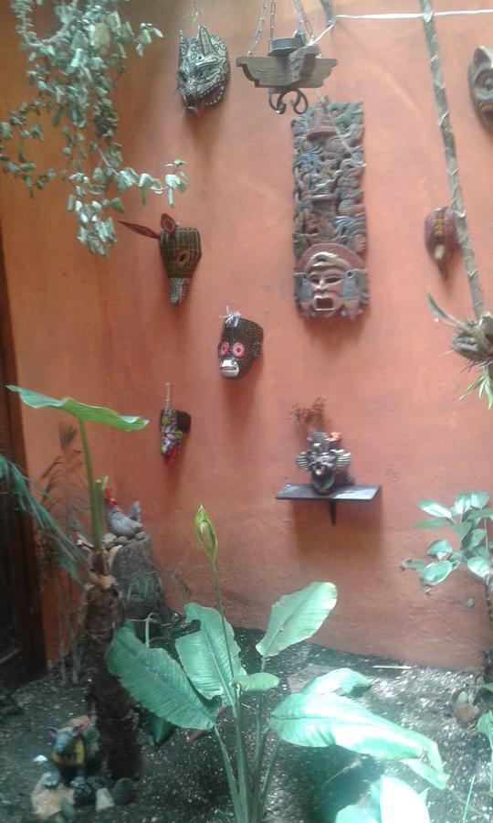 Hostal Nahui Ollin San Cristobal de las Casas Exterior photo